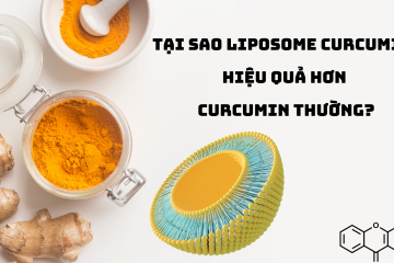 Tại sao Liposome Curcumin hiệu quả hơn curcumin thường?